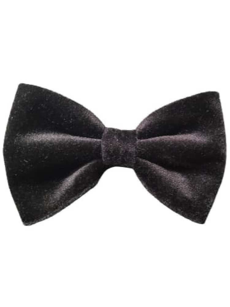 Beaux & Paws Bow Tie - Black Velvet – Sir Darius Brown