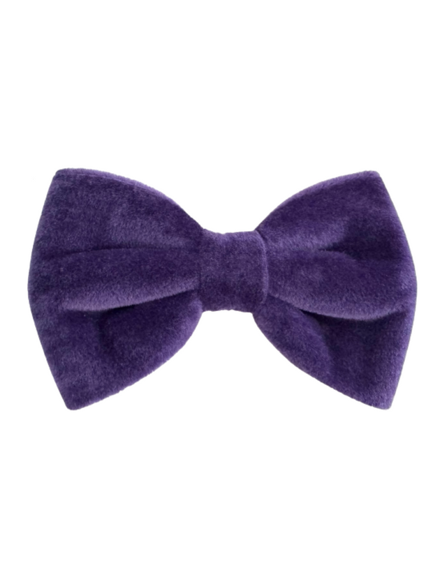 Beaux & Paws Bow Tie - Purple Velvet