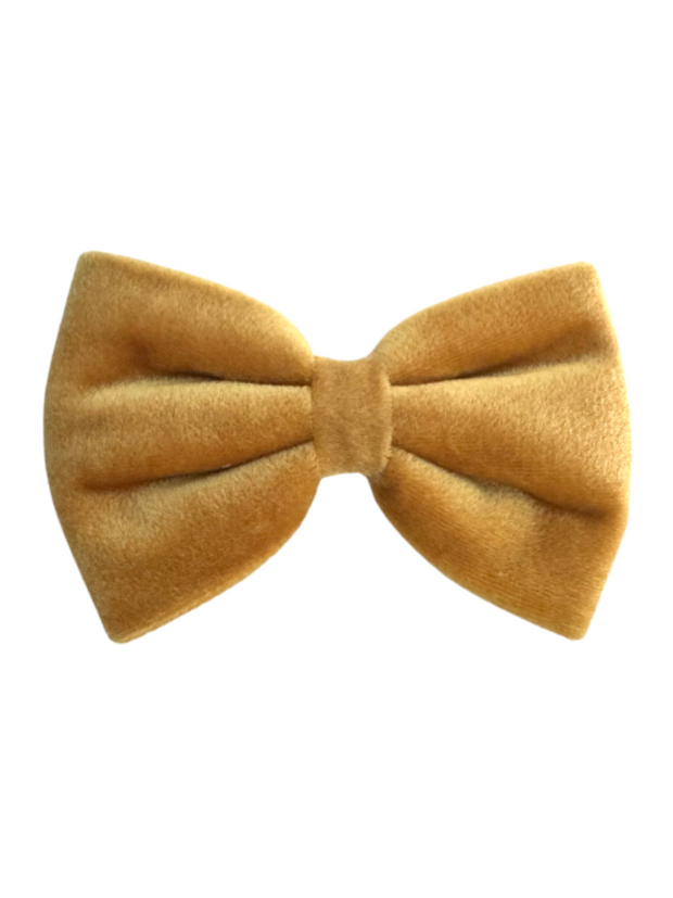 Beaux & Paws Bow Tie - Gold Velvet