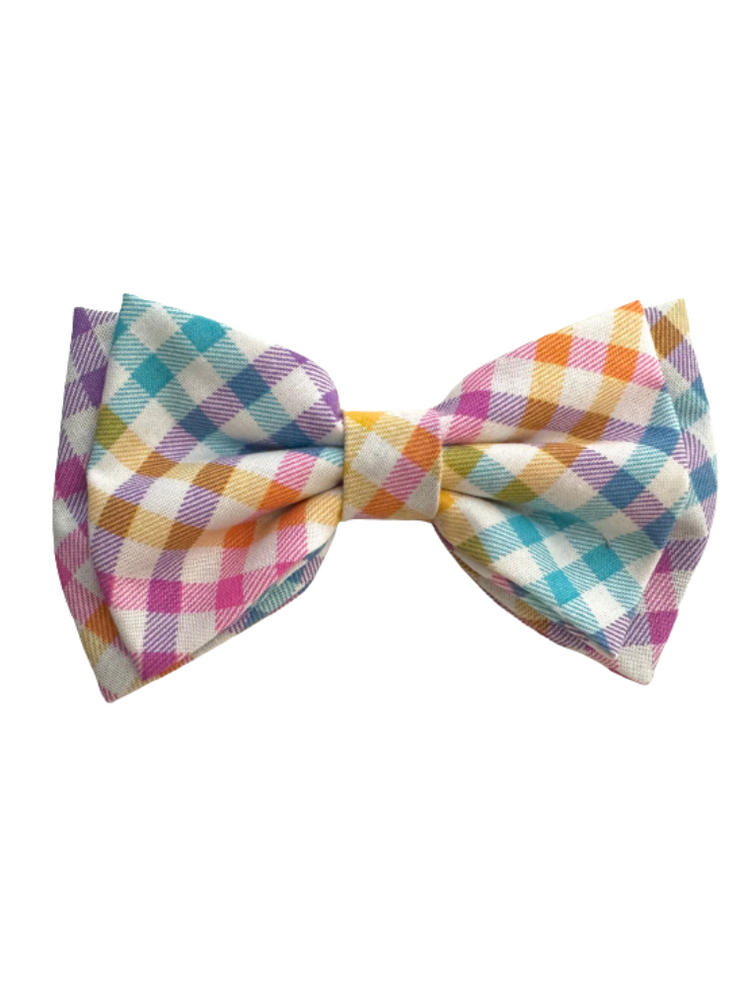 Beaux Paws Bow Tie Checkered Rainbow